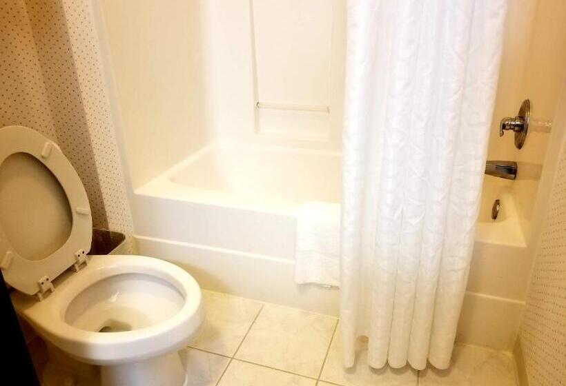 Стандартный Номер Кровать Кинг, Rodeway Inn Urbana Champaign University Area