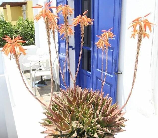 Chambre Supérieure avec Balcon, Villa Happening