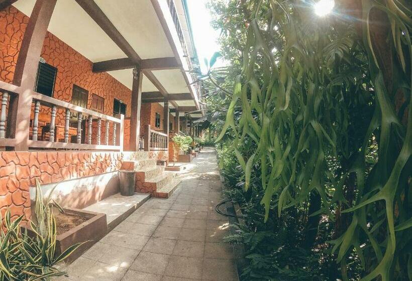 高级大房间, Coral Bungalows