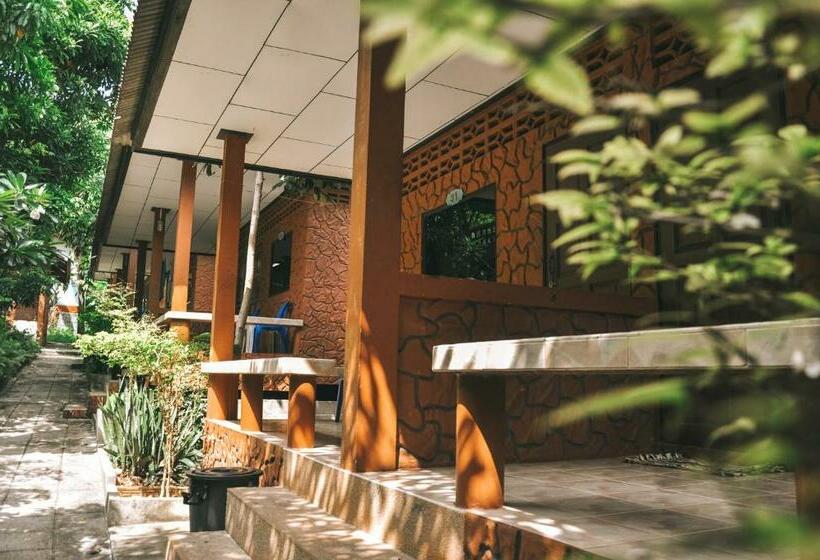 高级大房间, Coral Bungalows