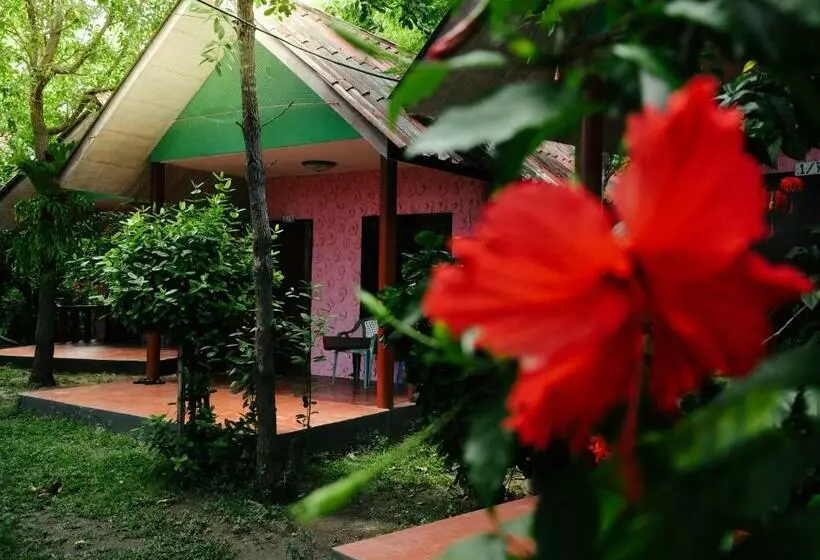 Standard-huone, Coral Bungalows
