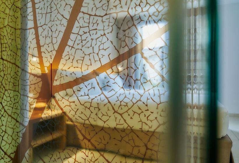 Номер Стандарт, Arrey Alella