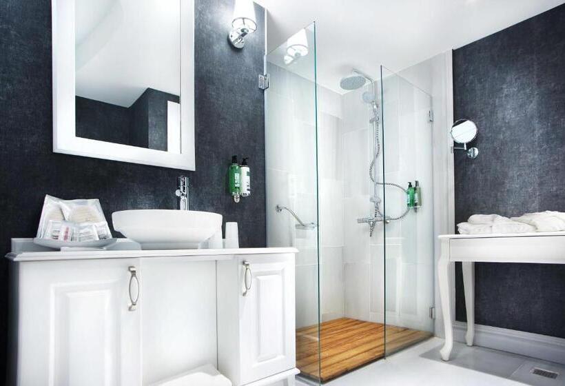 اتاق استاندارد, Astan Hotel Galata