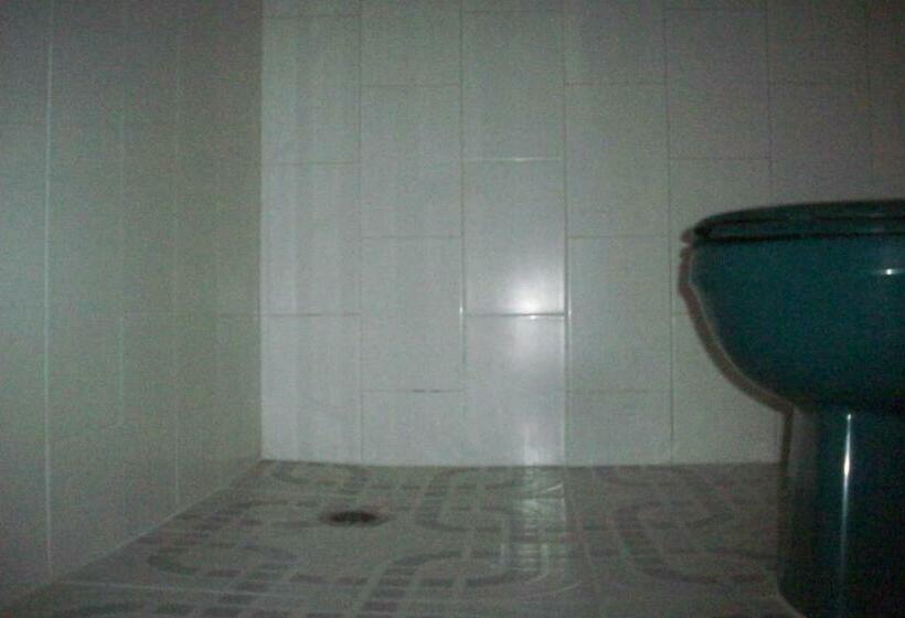 חדר סטנדרט, Avenida