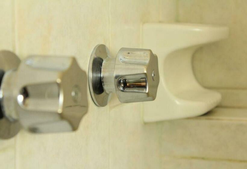 חדר סטנדרט, Avenida