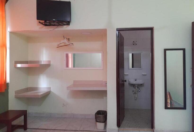 חדר סטנדרט, Avenida