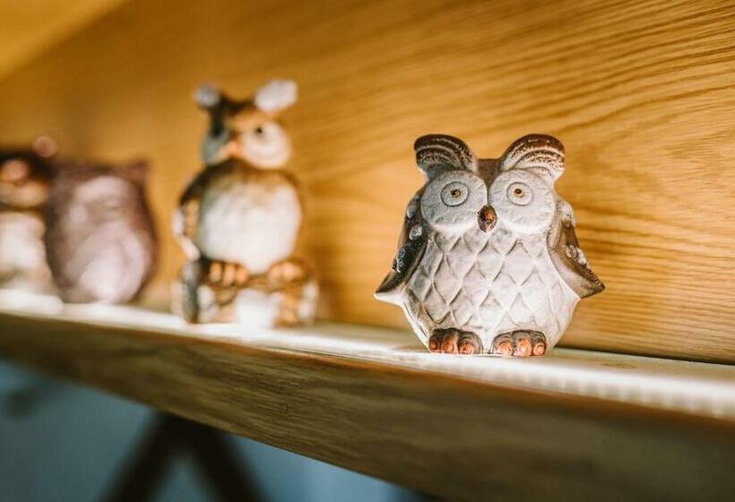 标准单人间, Berglandstübel