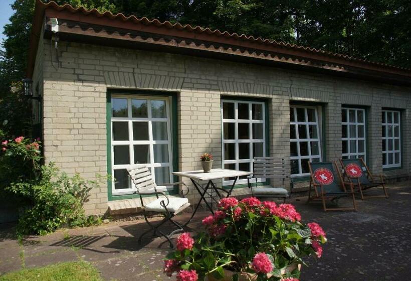 コンフォートルーム, Gut Basthorst