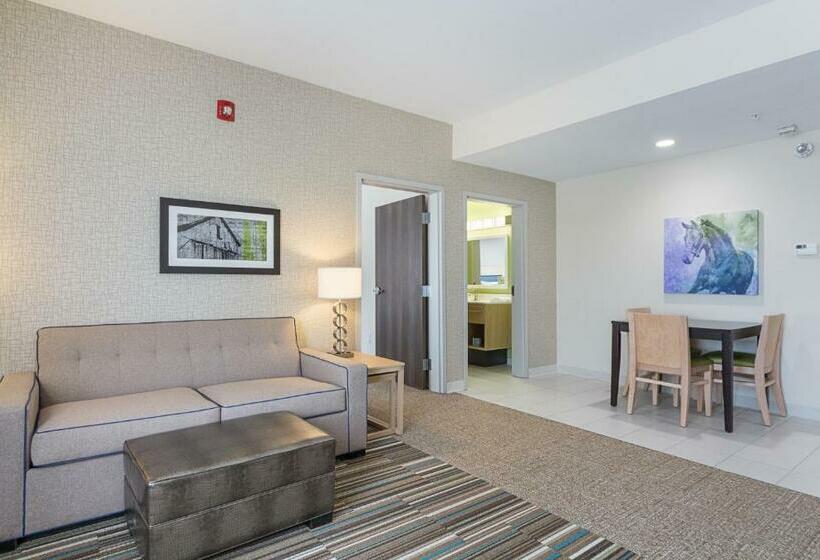 סוויטה מותאמת לאדם עם מוגבלויות, Home2 Suites By Hilton Dallas Grand Prairie
