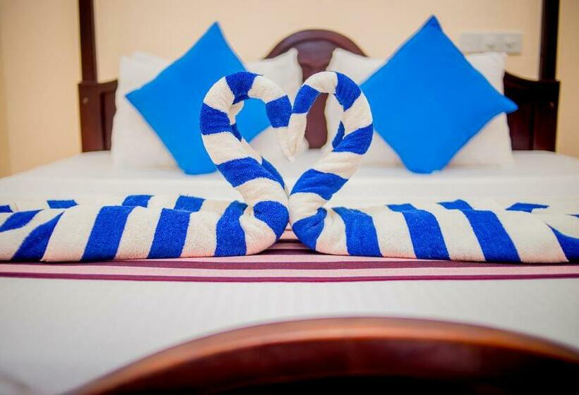 一楼标准间, We Are Surfers