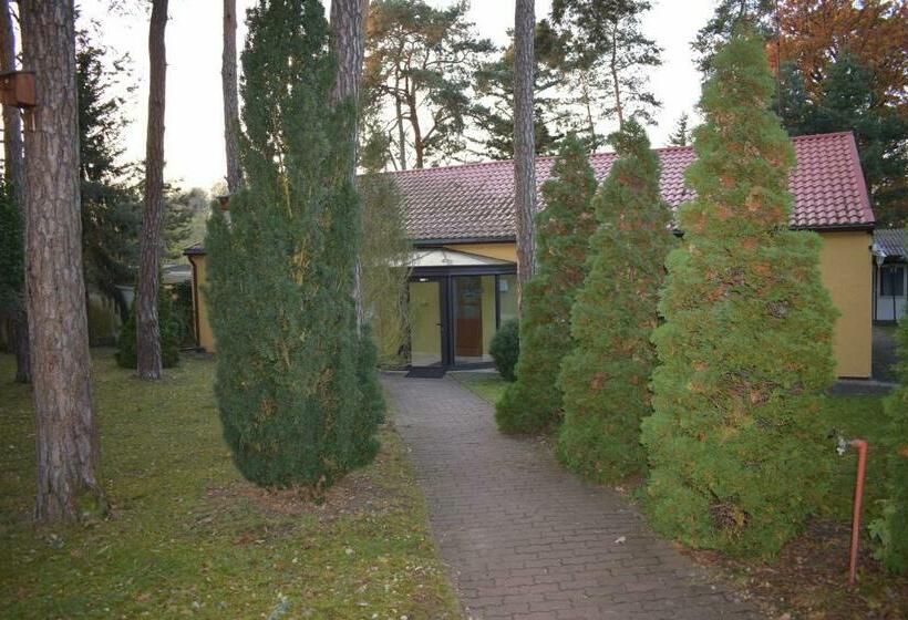 Номер Стандарт Трехместный, Seeschlösschen