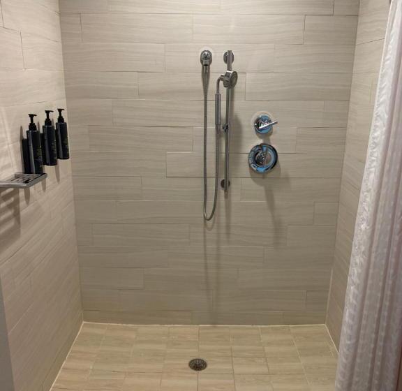 带大床的标准间, Aloft Austin Northwest