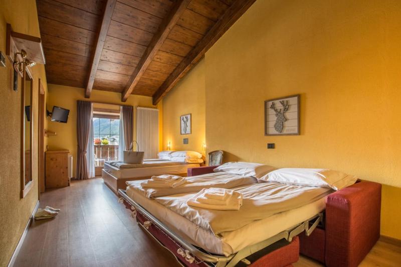 スタンダード４人部屋, Angelica