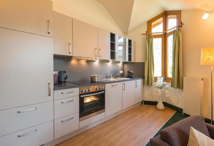 דירת חדר, Das Gastein   Ganzjährig Inklusive Alpentherme Gastein & Sommersaison Inklusive Gasteiner Bergbahnen