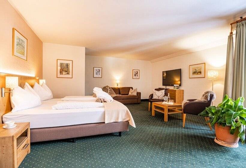 חדר סופריור, Das Gastein   Ganzjährig Inklusive Alpentherme Gastein & Sommersaison Inklusive Gasteiner Bergbahnen