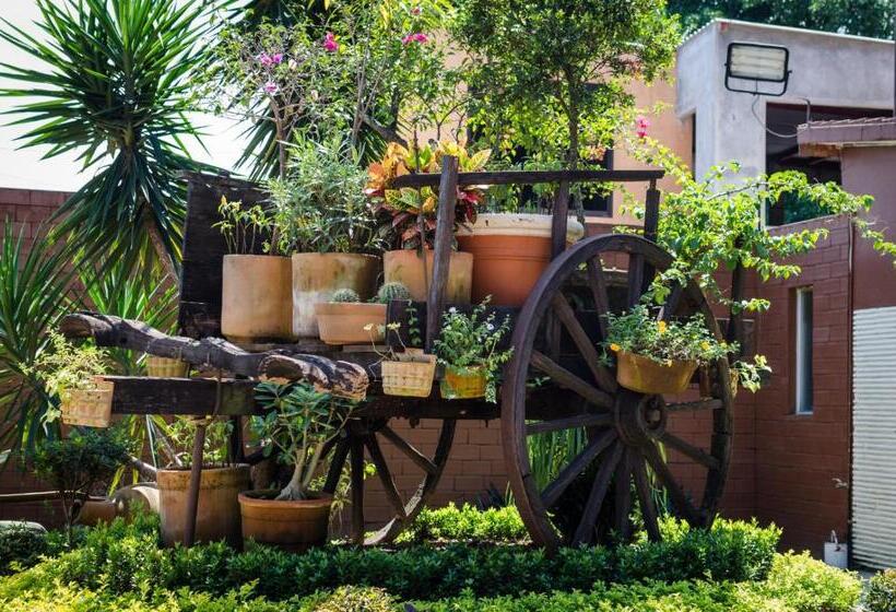 带2个双人床的标准工作室, El Rancho