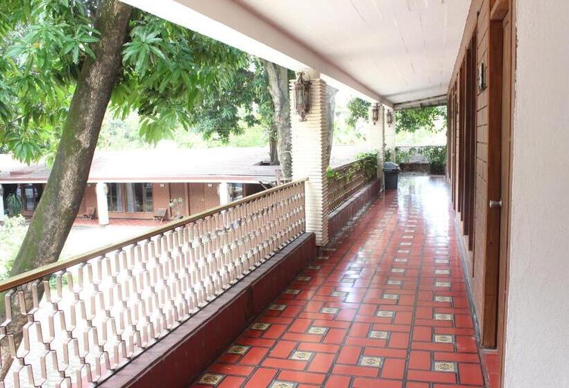 舒适型单人间, El Rancho