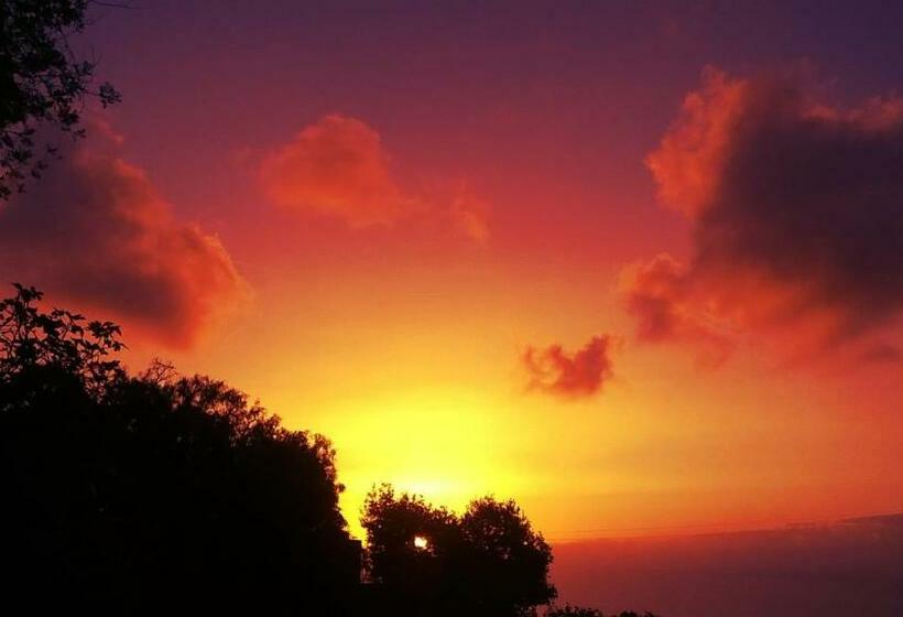 חדר סטנדרט נוף לגינה, Emblemático Casa Casilda