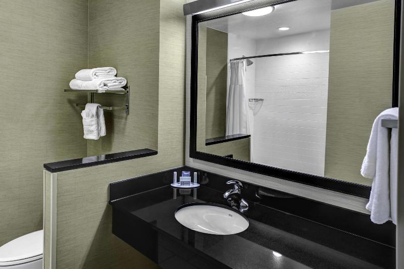 إستوديو قياسى سرير كينج, Fairfield Inn & Suites By Marriott Lansing At Eastwood