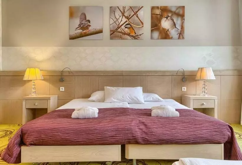 Standard-huone, Hanza Pałac Wellness & Spa