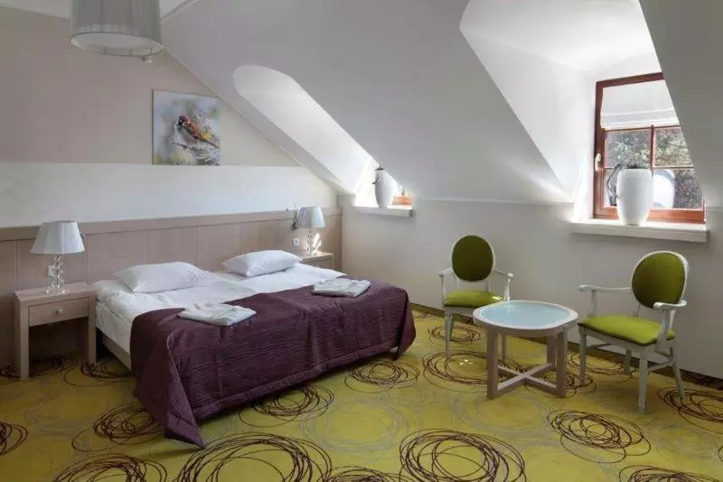 Standard-huone, Hanza Pałac Wellness & Spa