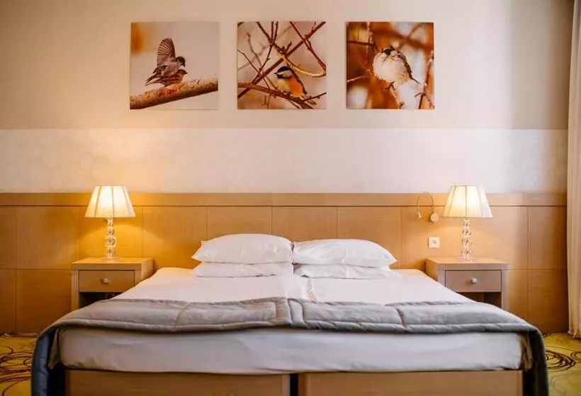 Standard Yhden Hengen Huone, Hanza Pałac Wellness & Spa