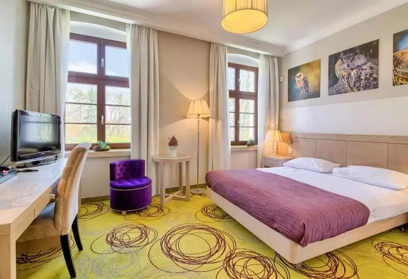 Standard-huone, Hanza Pałac Wellness & Spa