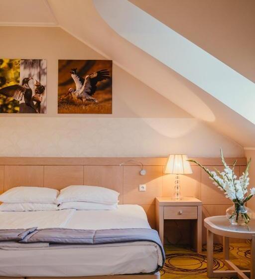 豪华房间, Hanza Pałac Wellness & Spa