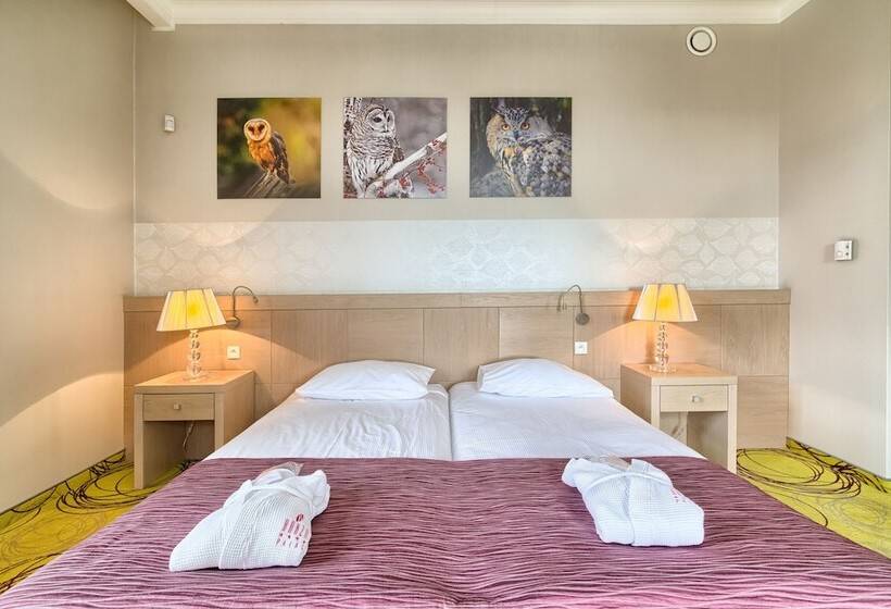 标准单人间, Hanza Pałac Wellness & Spa