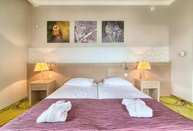 Standard Yhden Hengen Huone, Hanza Pałac Wellness & Spa