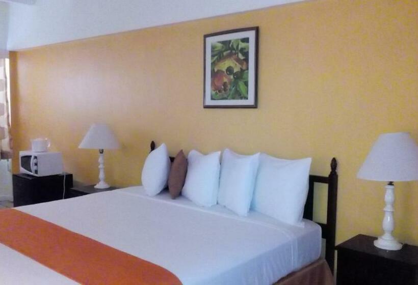 اتاق استاندارد با تخت بزرگ, Pineapple Court