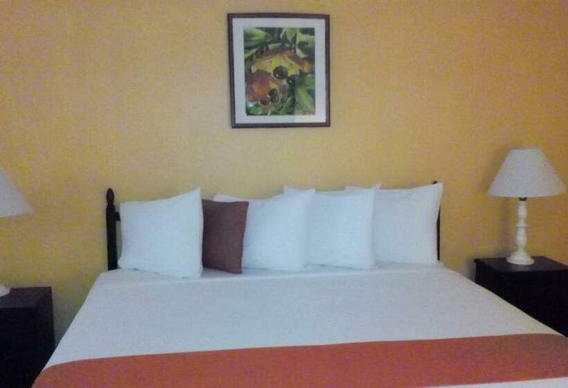 اتاق استاندارد با تخت بزرگ, Pineapple Court