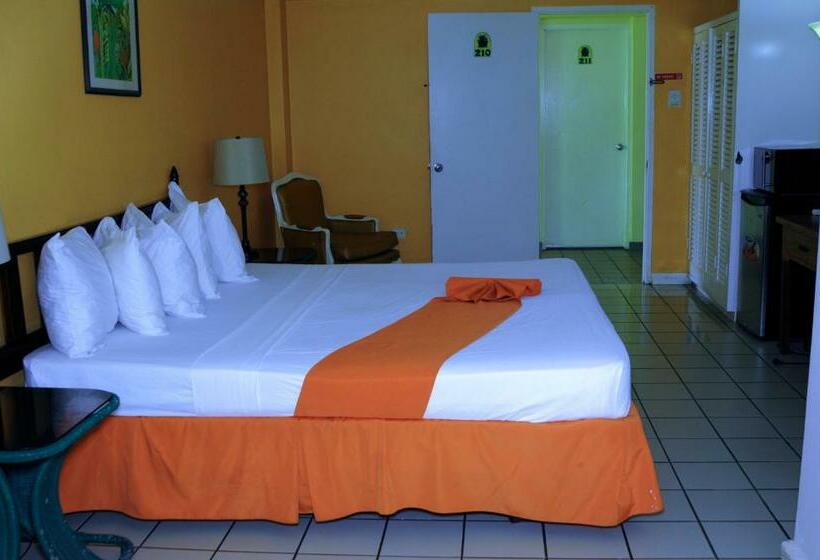 اتاق استاندارد با تخت بزرگ, Pineapple Court