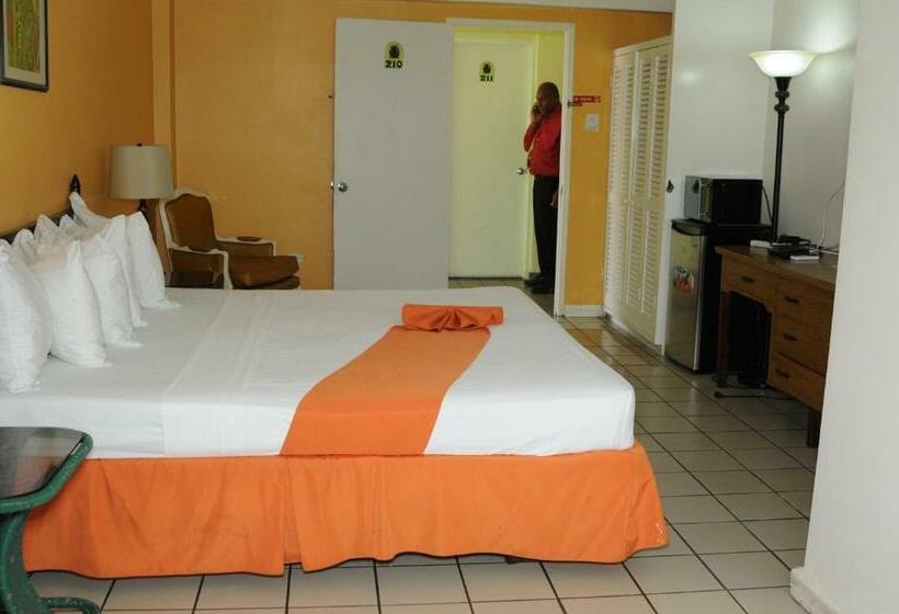 اتاق استاندارد با تخت بزرگ, Pineapple Court