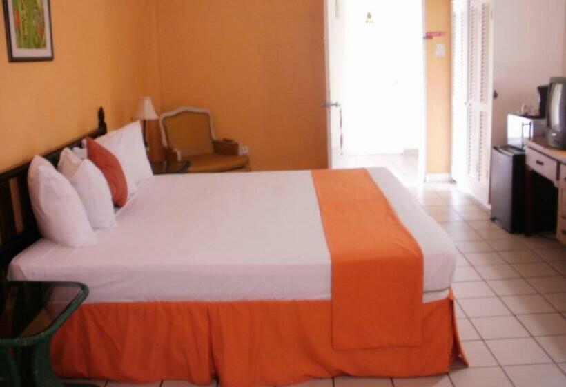 اتاق استاندارد با تخت بزرگ, Pineapple Court