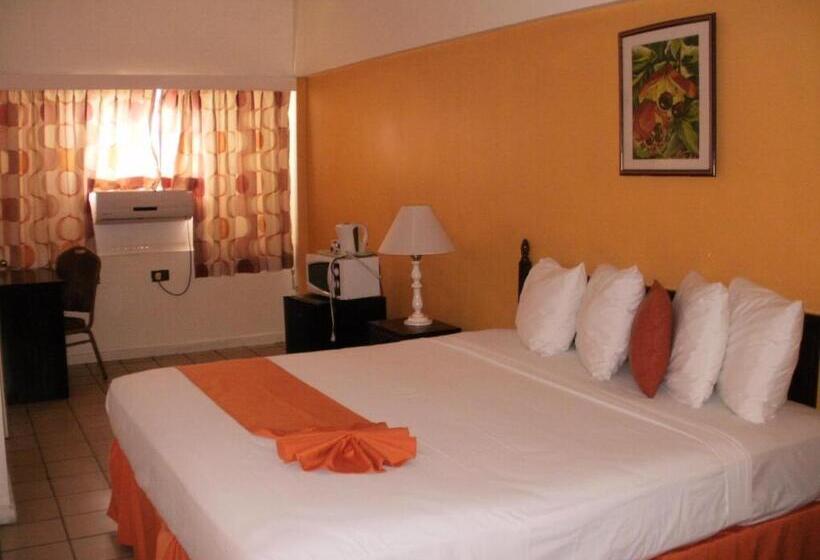 اتاق استاندارد با تخت بزرگ, Pineapple Court