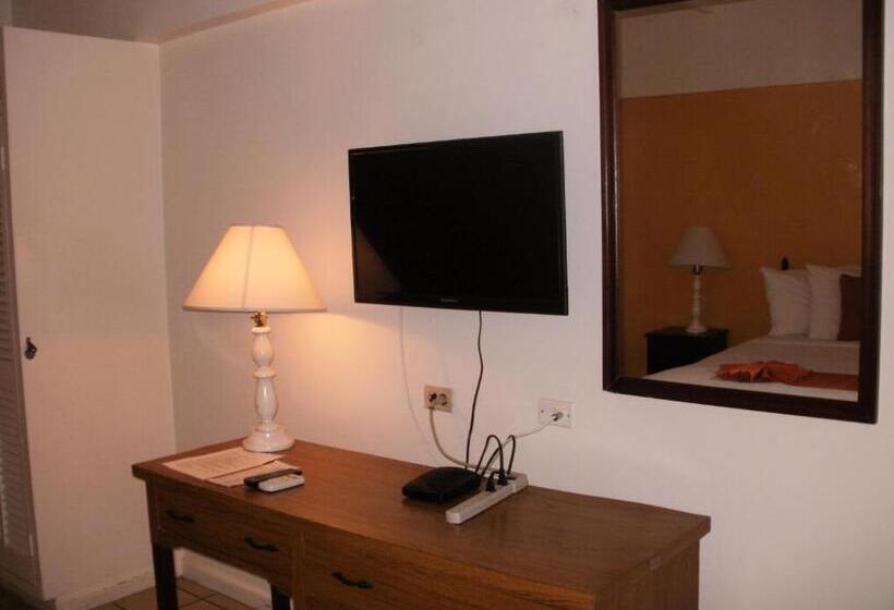 اتاق استاندارد با تخت بزرگ, Pineapple Court