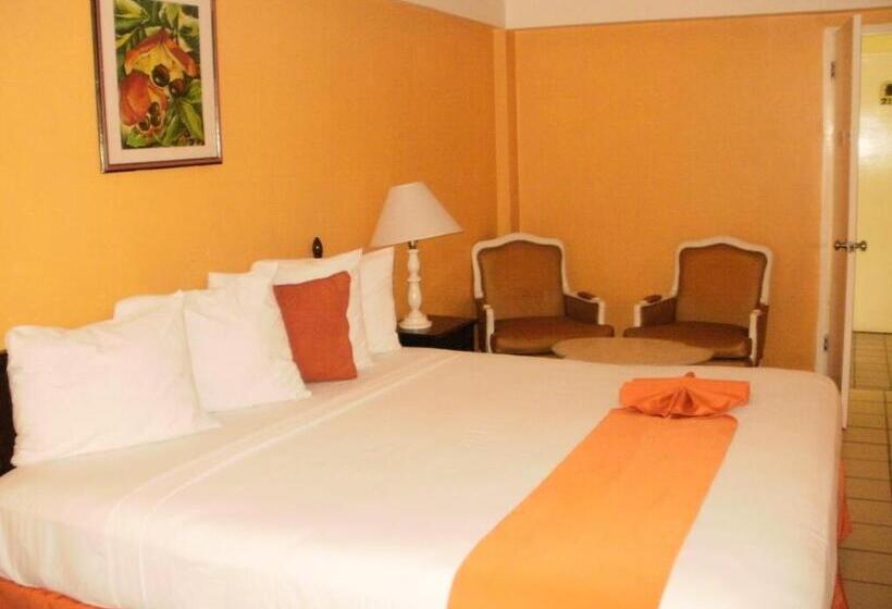 اتاق استاندارد با تخت بزرگ, Pineapple Court