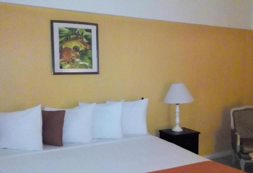 اتاق استاندارد با تخت بزرگ, Pineapple Court