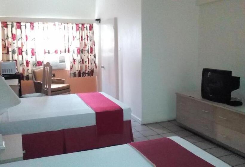 اتاق استاندارد با 2 تخت دوبل, Pineapple Court