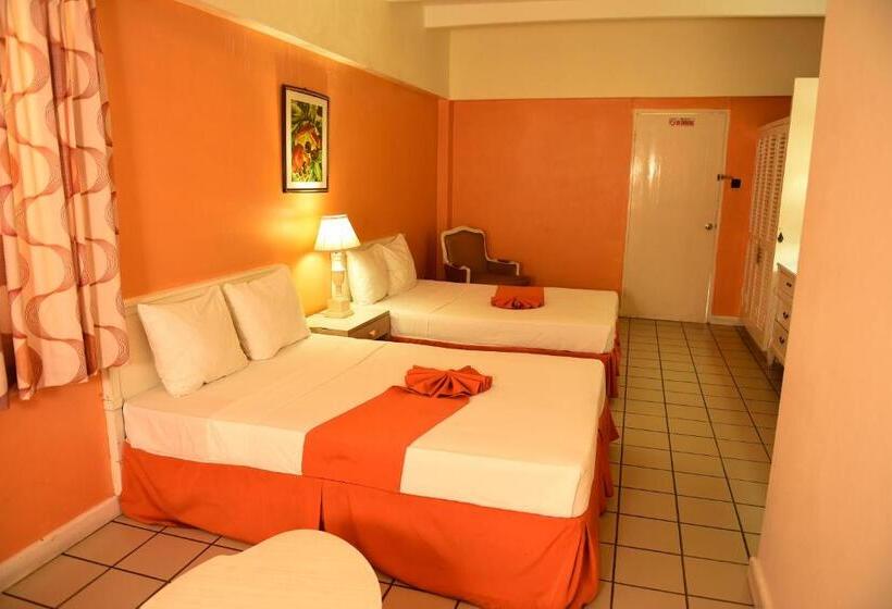 اتاق استاندارد با 2 تخت دوبل, Pineapple Court