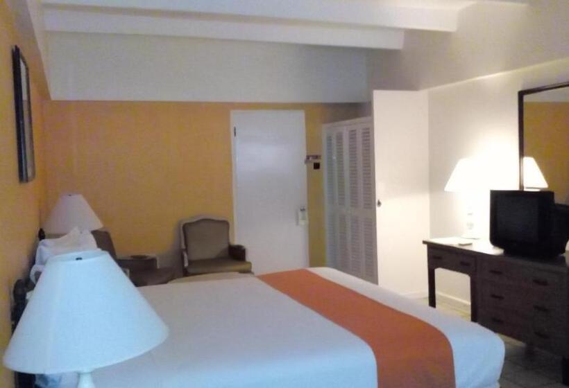 اتاق استاندارد با تخت بزرگ, Pineapple Court