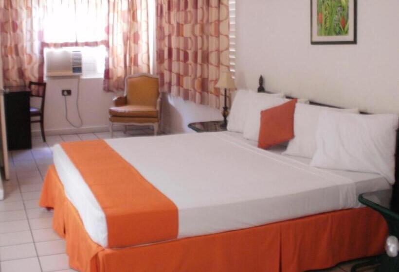 اتاق استاندارد با تخت بزرگ, Pineapple Court