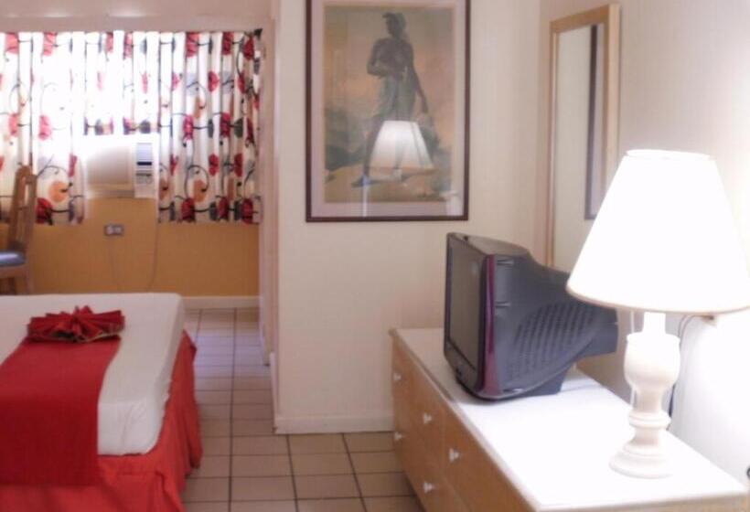 اتاق استاندارد با تخت بزرگ, Pineapple Court