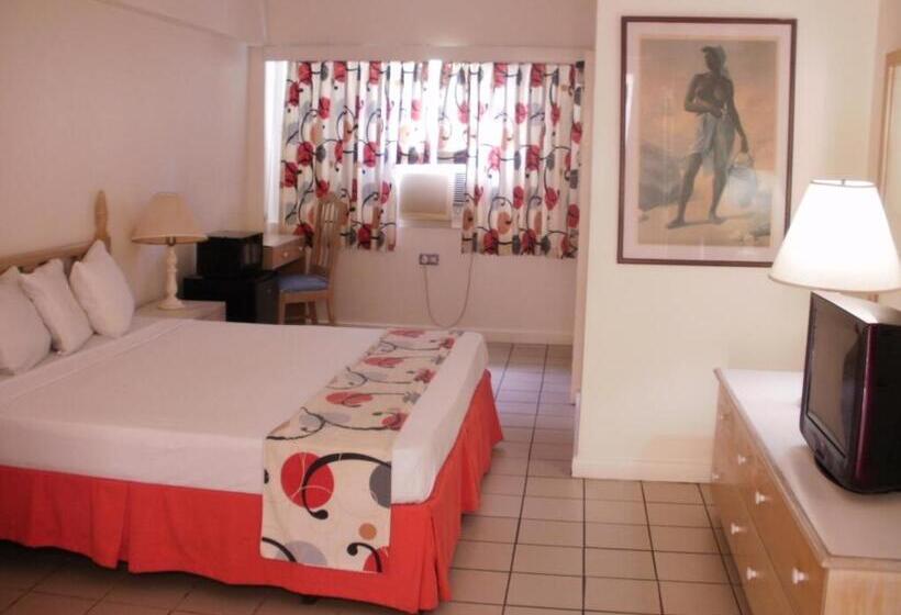 اتاق استاندارد با تخت بزرگ, Pineapple Court