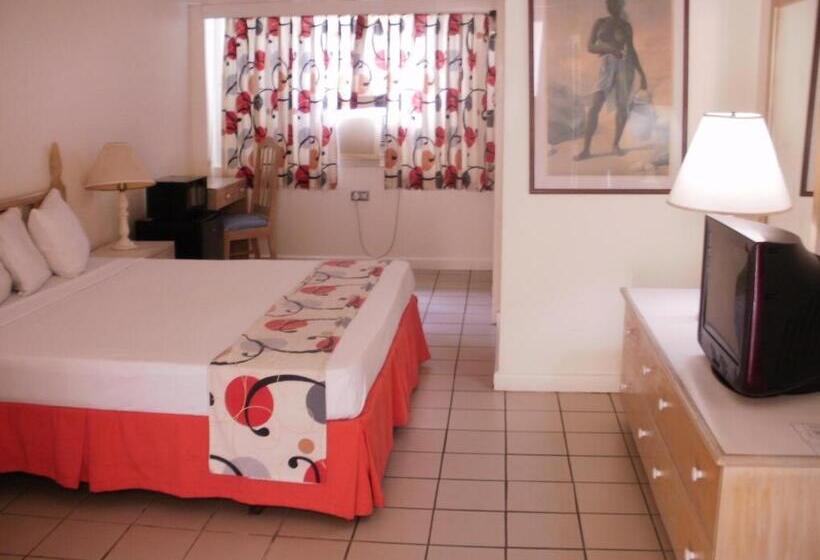 اتاق استاندارد با تخت بزرگ, Pineapple Court