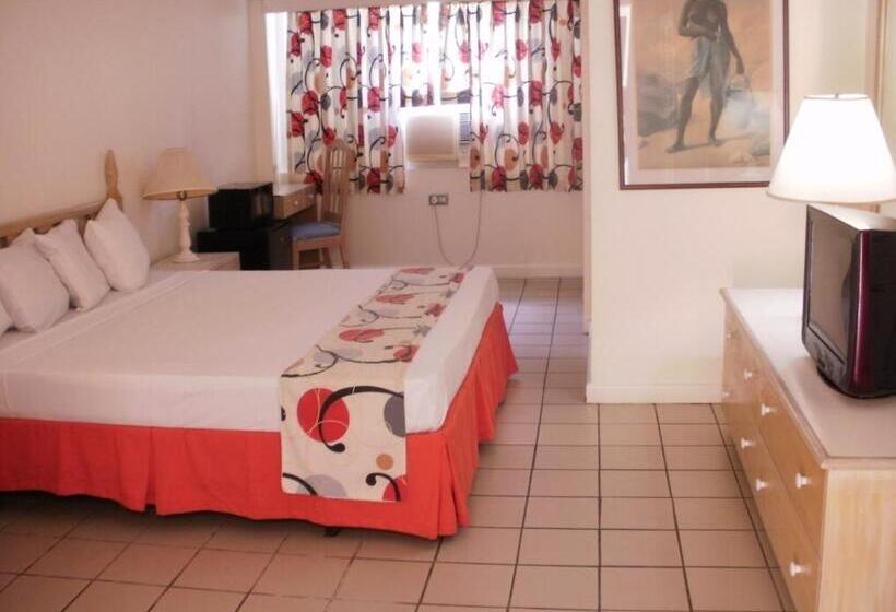 اتاق استاندارد با تخت بزرگ, Pineapple Court