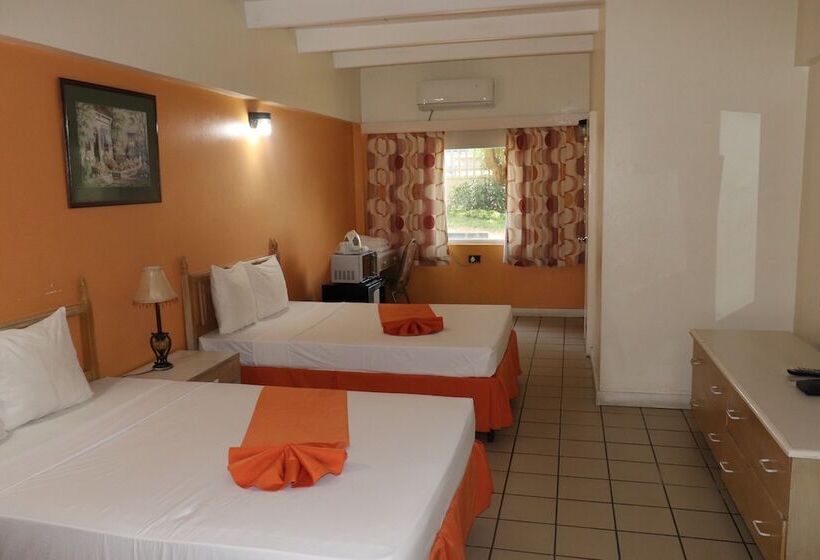 اتاق استاندارد با 2 تخت دوبل, Pineapple Court