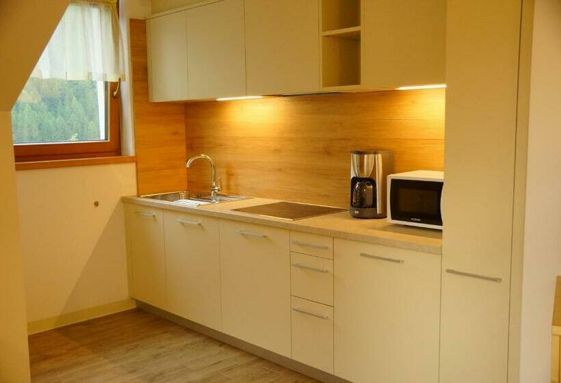 带1个卧室的高级公寓, Residence Plan De Corones