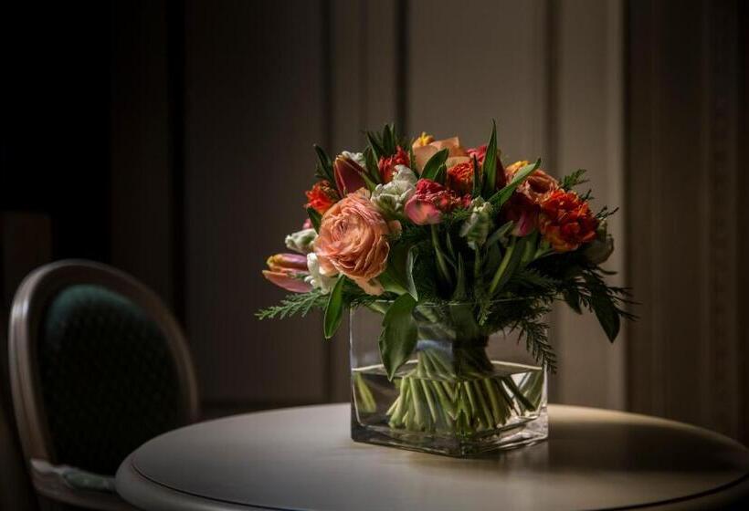 سوییت جونیور, Palazzo Guicciardini